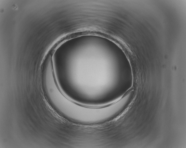 X0000083611118200702260921