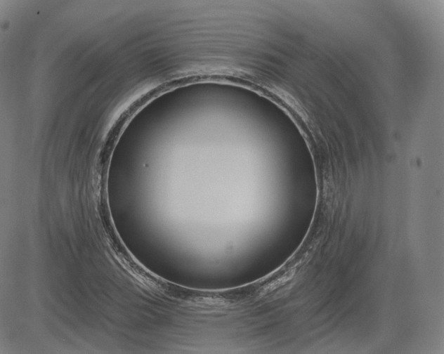 X0000083611119200702260921