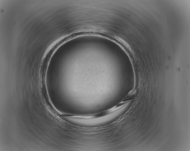 X0000083611120200702260921