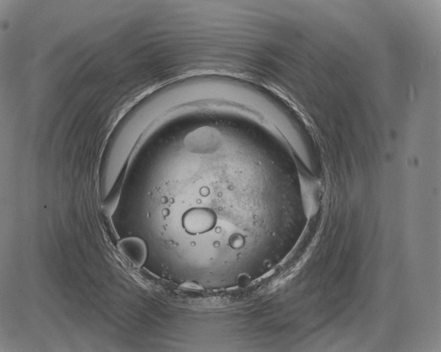 X0000083611121200702260921