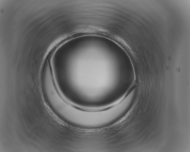 X0000083611122200702260921