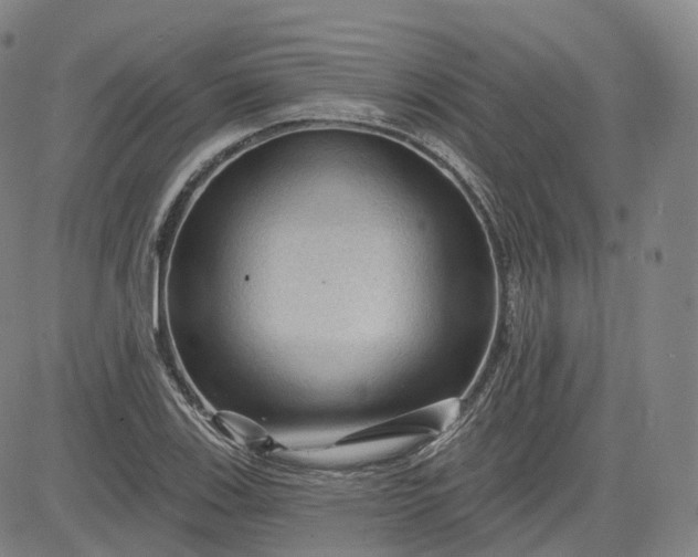 X0000083611123200702260921