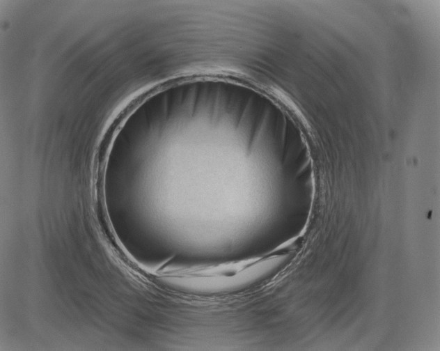 X0000083611124200702260921