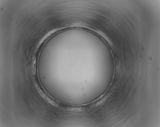 X0000083611126200702260921