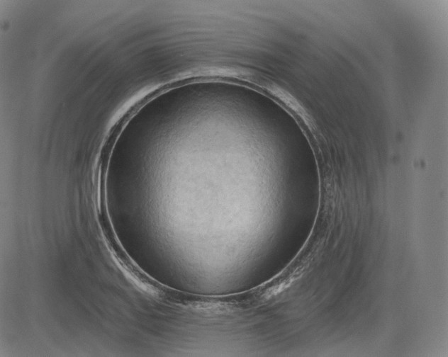 X0000083611127200702260921