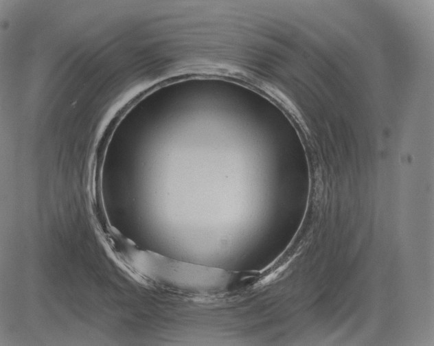 X0000083611128200702260921