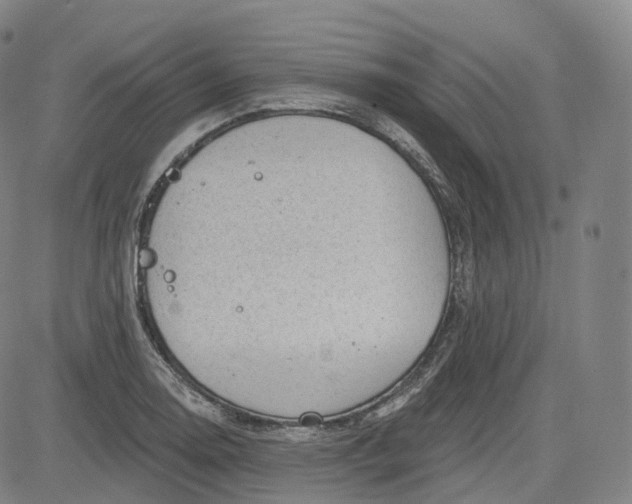 X0000083611130200702260921