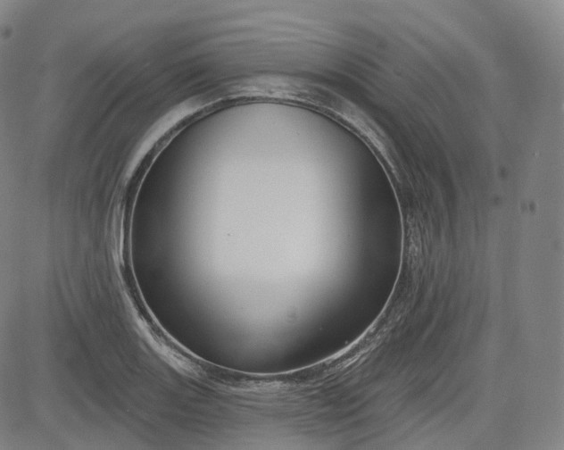 X0000083611131200702260921