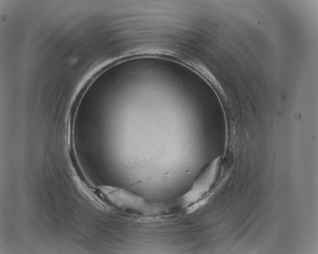 X0000083611132200702260921