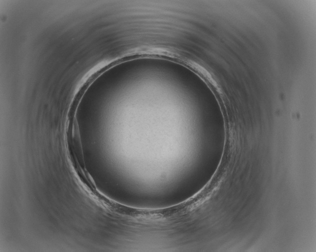 X0000083611133200702260921