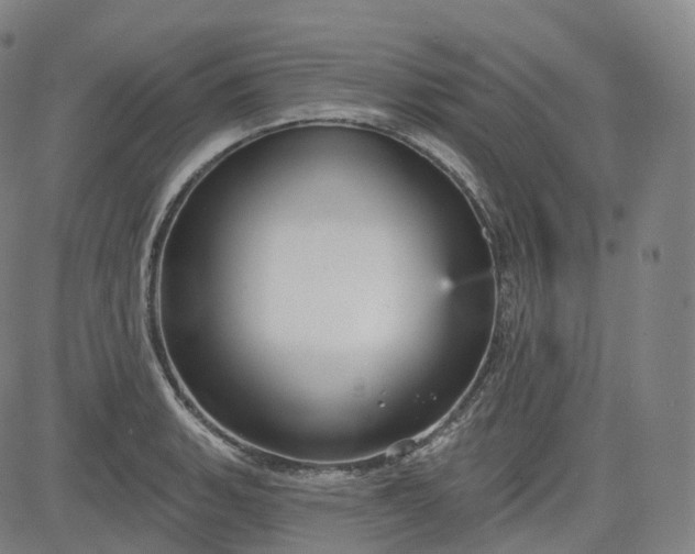 X0000083611135200702260921