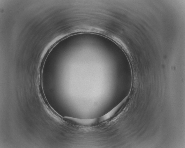 X0000083611136200702260921