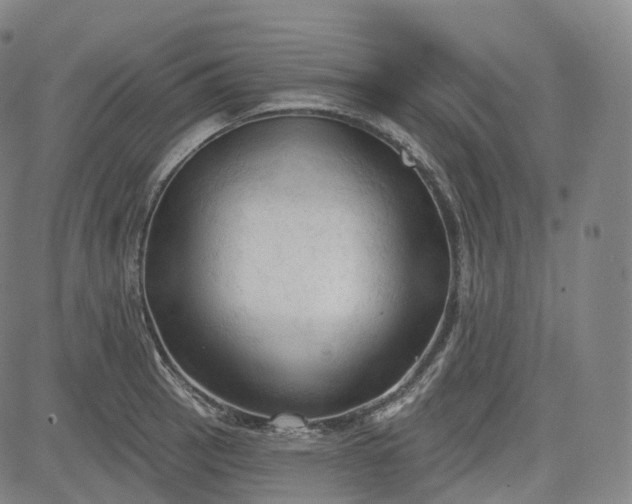 X0000083611137200702260921