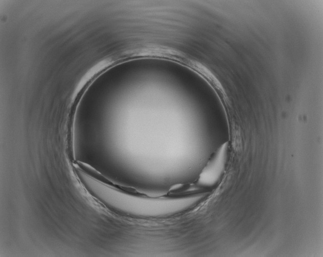 X0000083611138200702260921