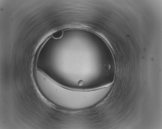 X0000083611139200702260921