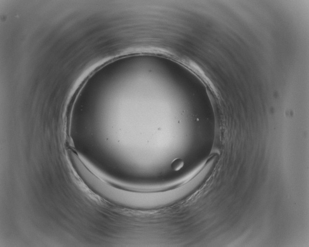 X0000083611140200702260921