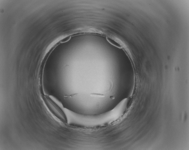 X0000083611141200702260921