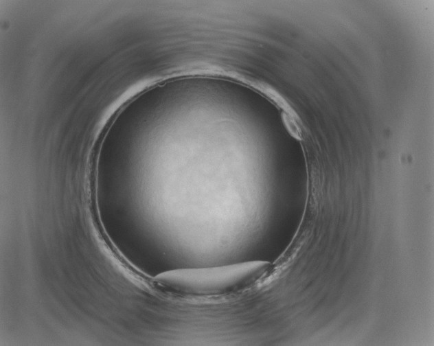 X0000083611142200702260921