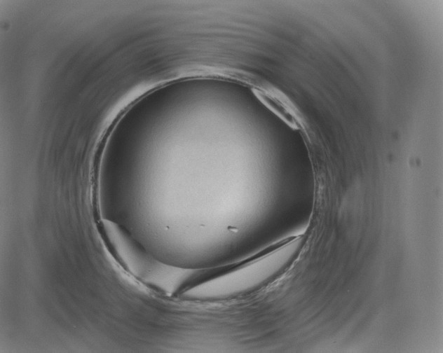 X0000083611143200702260921