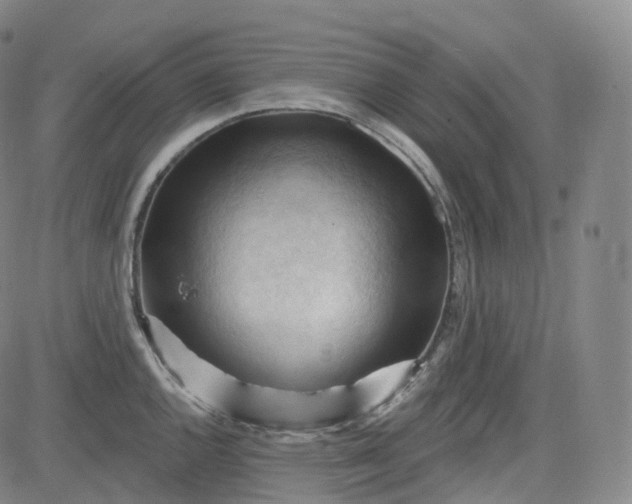 X0000083611144200702260921