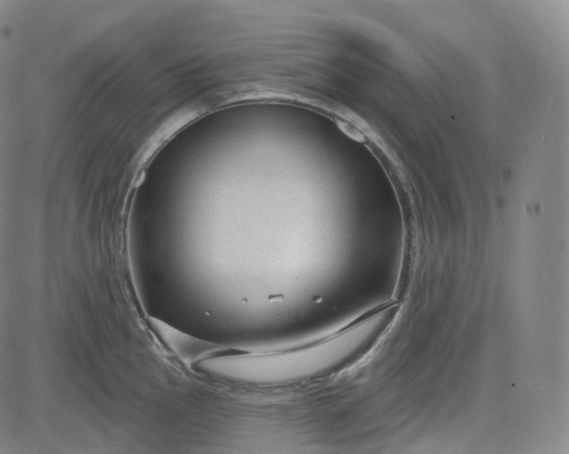 X0000083611145200702260921