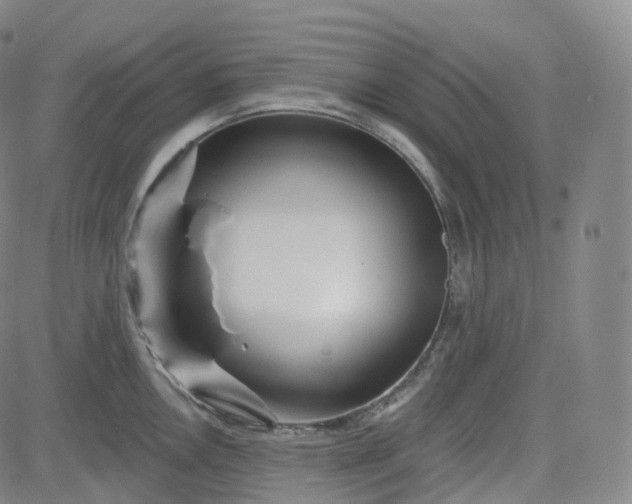 X0000083611146200702260921