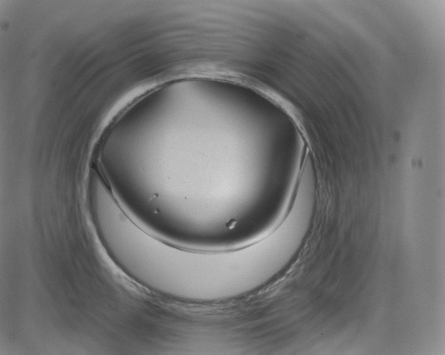 X0000083611147200702260921