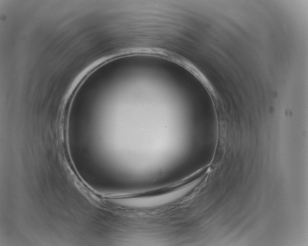 X0000083611148200702260921