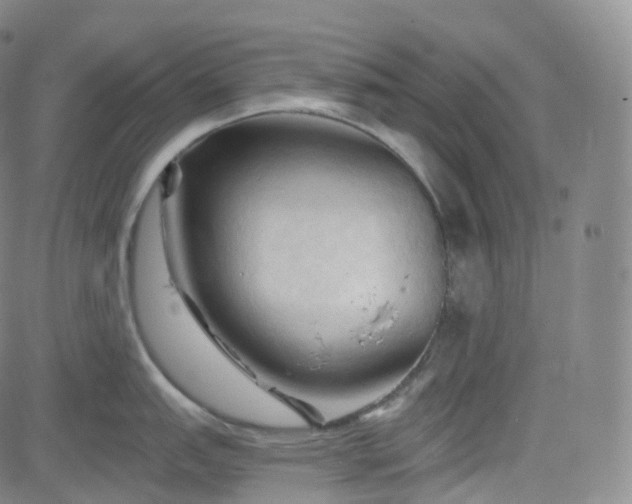 X0000083611151200702260921