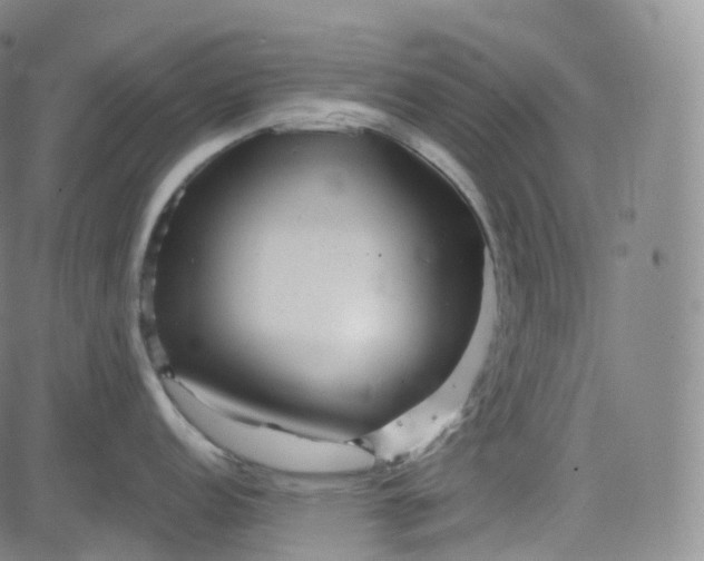 X0000083611152200702260921