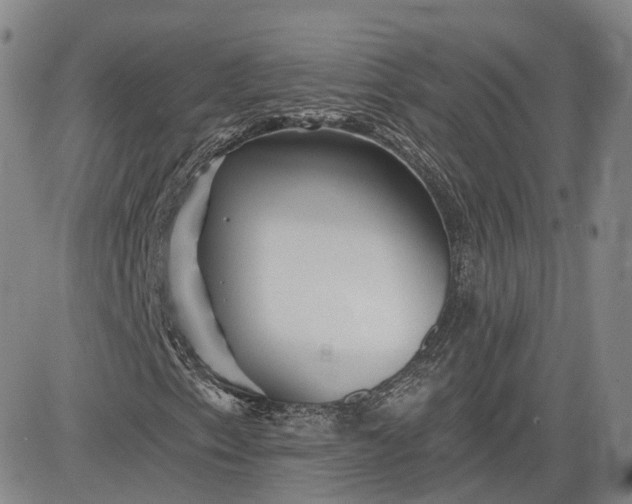 X0000083611153200702260920