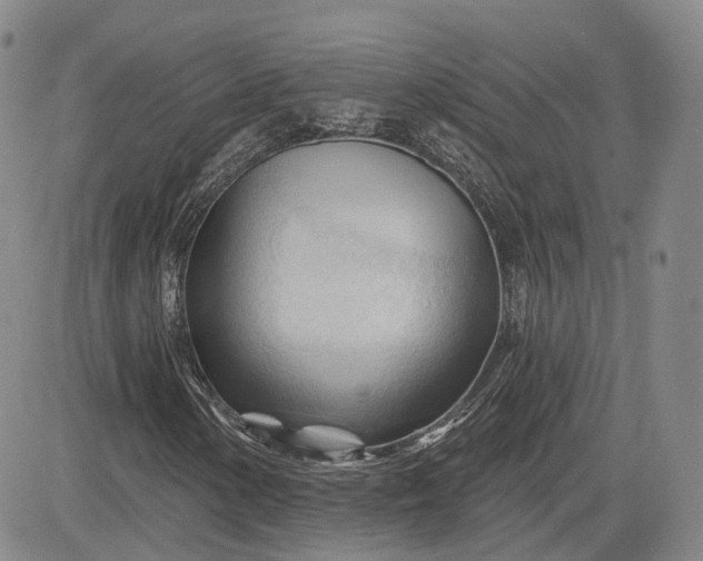 X0000083611154200702260920