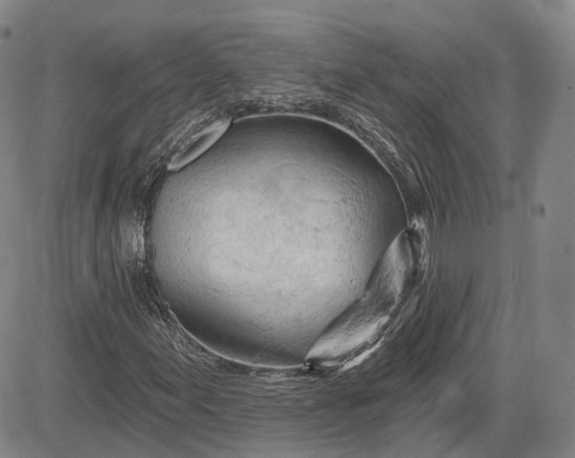 X0000083611155200702260920