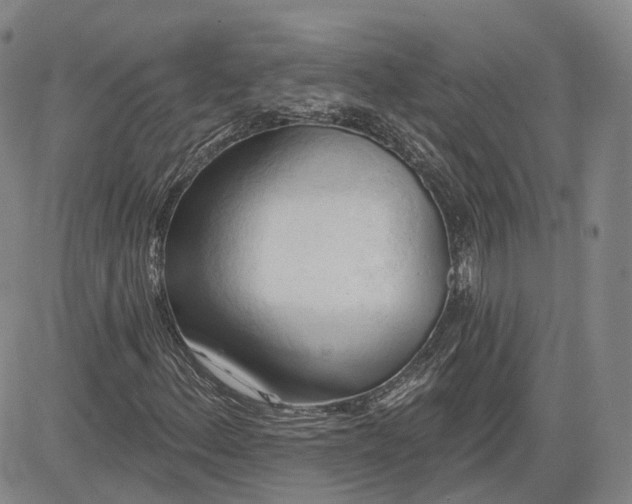 X0000083611156200702260920