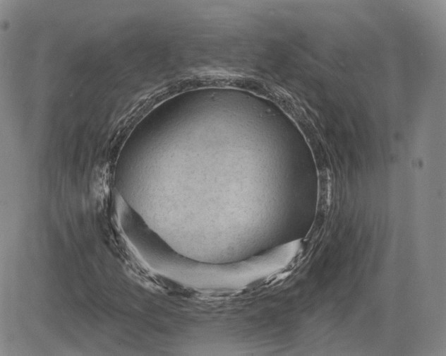 X0000083611157200702260920