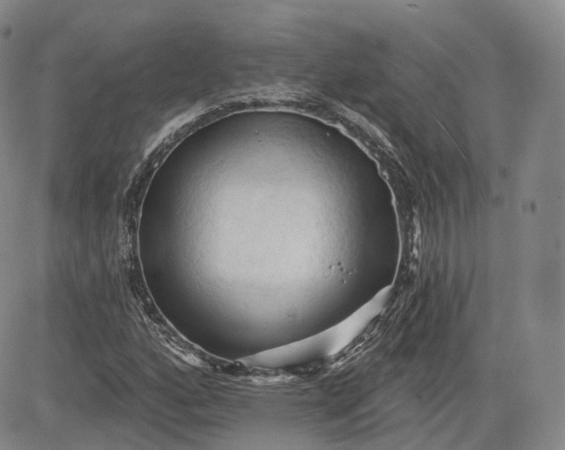 X0000083611160200702260920