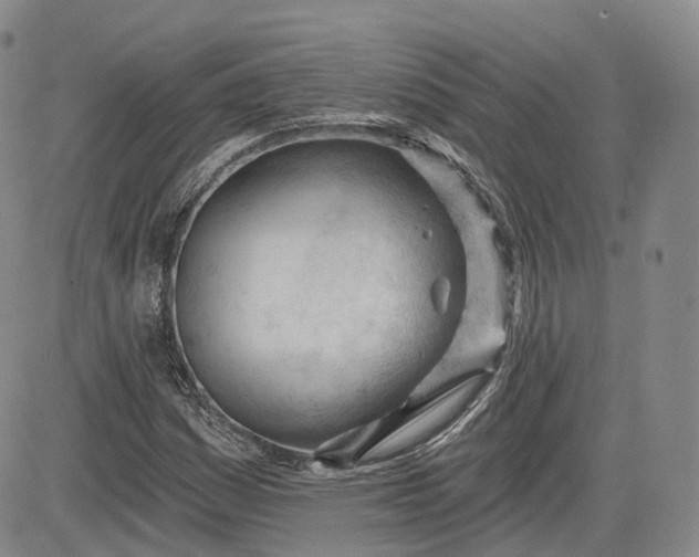 X0000083611161200702260920