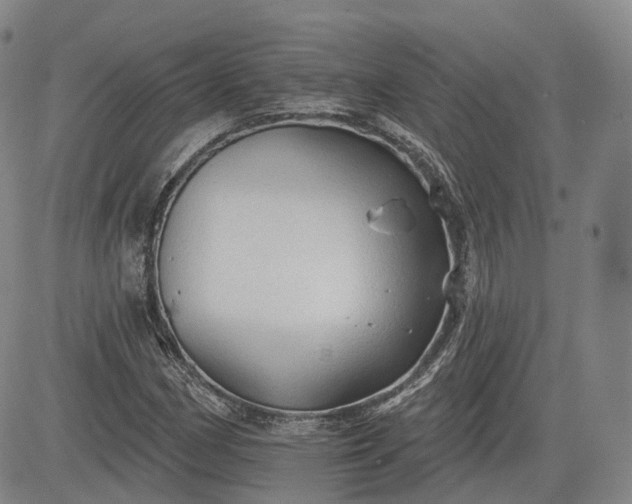 X0000083611162200702260920