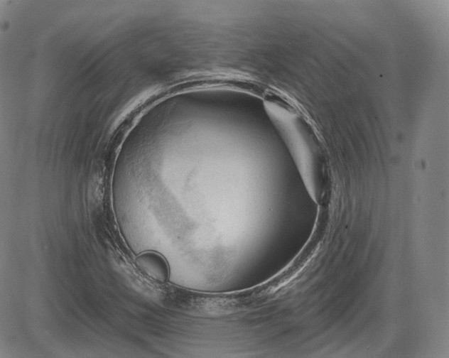 X0000083611163200702260920