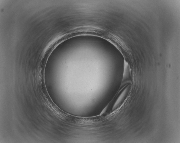 X0000083611164200702260920