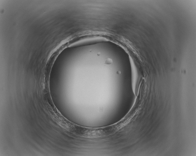 X0000083611165200702260920