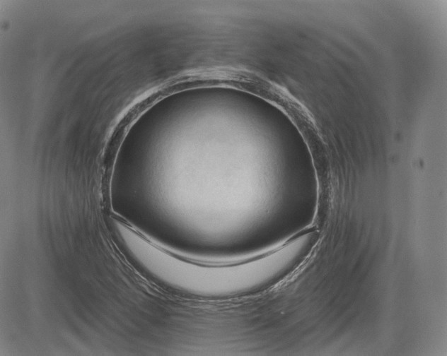 X0000083611166200702260920