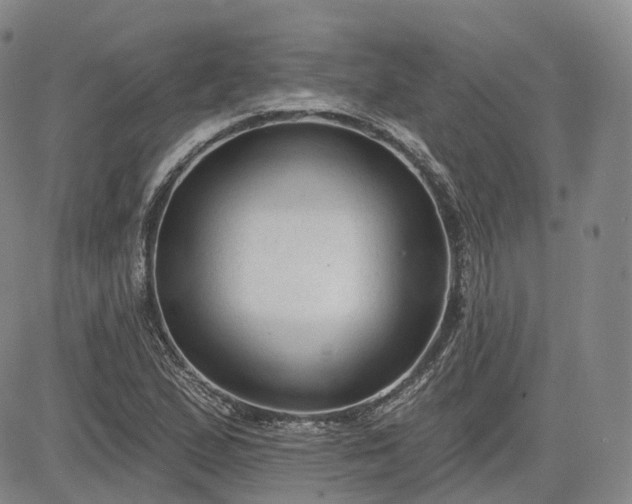 X0000083611167200702260920