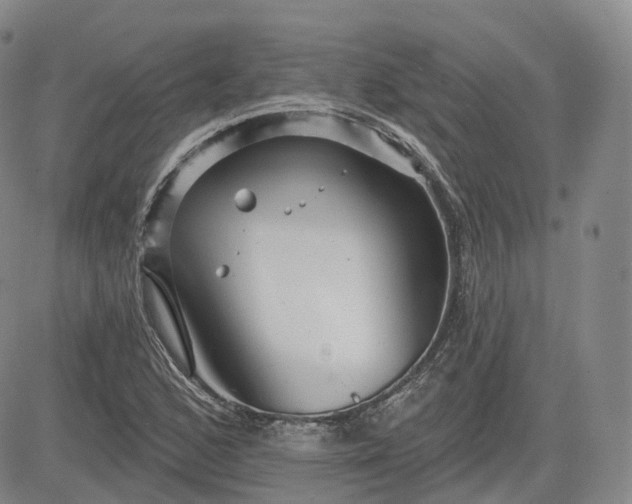 X0000083611168200702260920