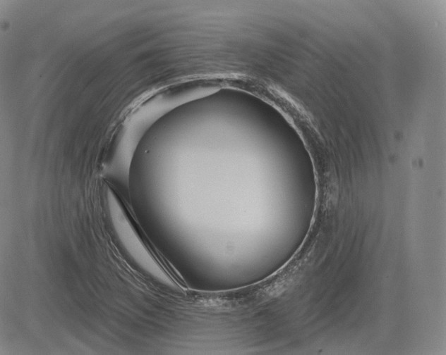 X0000083611169200702260920