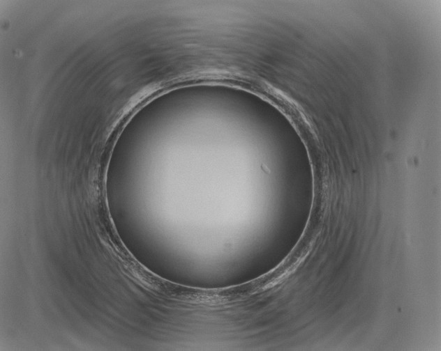 X0000083611170200702260920