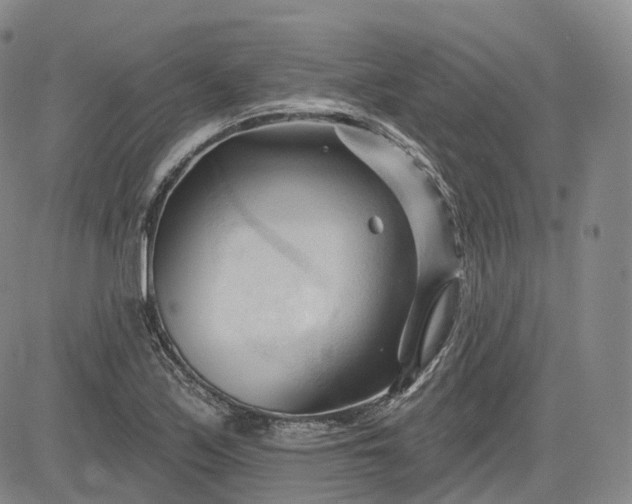 X0000083611171200702260920