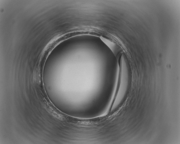 X0000083611172200702260920