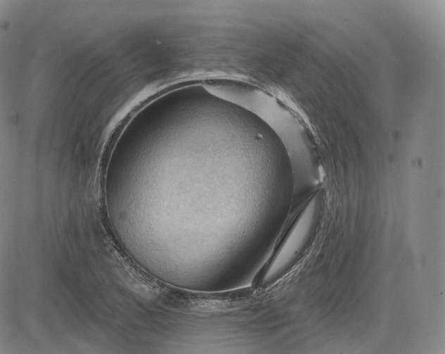 X0000083611173200702260920