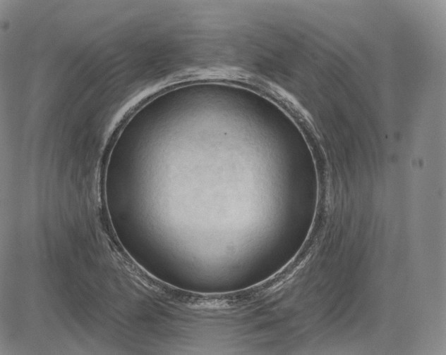 X0000083611174200702260920